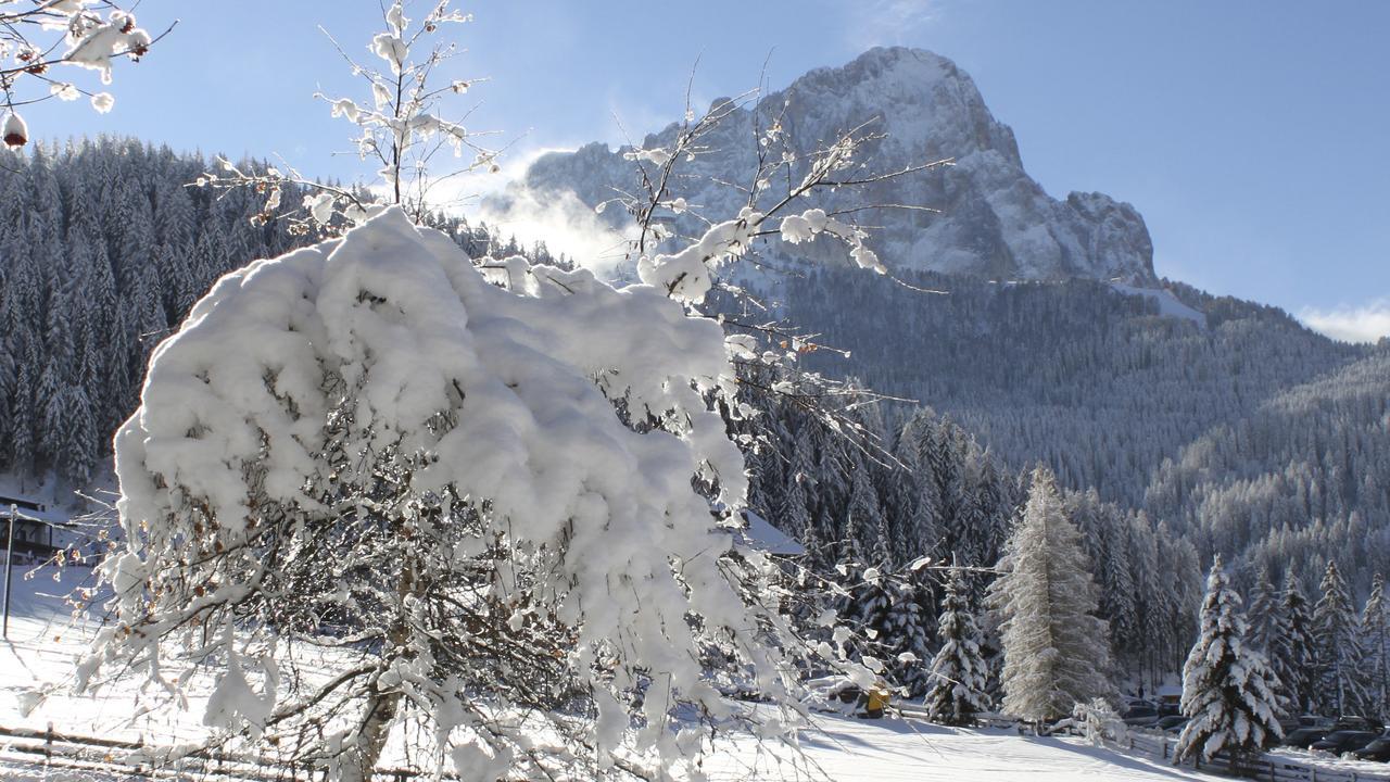 Garni Hotel Rosengarten B&B Selva di Val Gardena Exterior photo